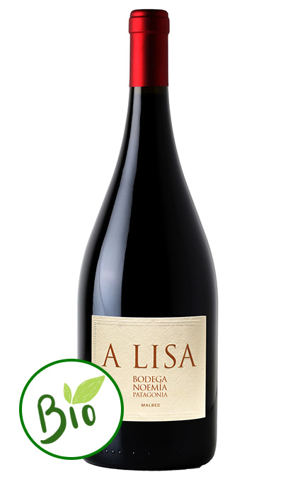 Malbec  A LISA Bodega Noemia - PATAGONIE