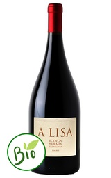 Malbec  A LISA Bodega Noemia - PATAGONIE
